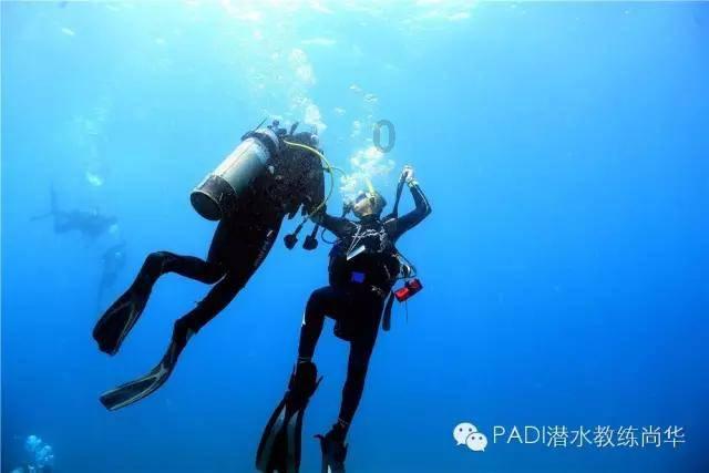 召唤神龙万宁版祖龙